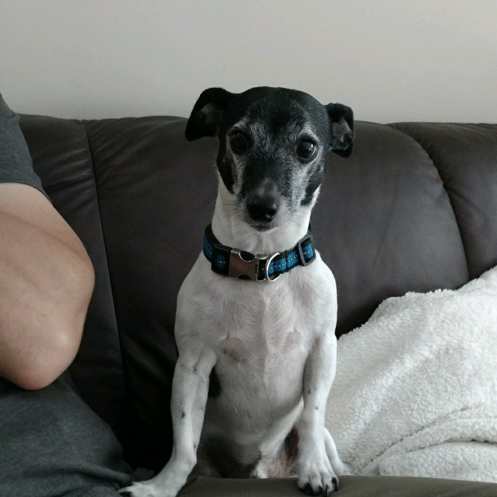 Meet your Posher, Billie